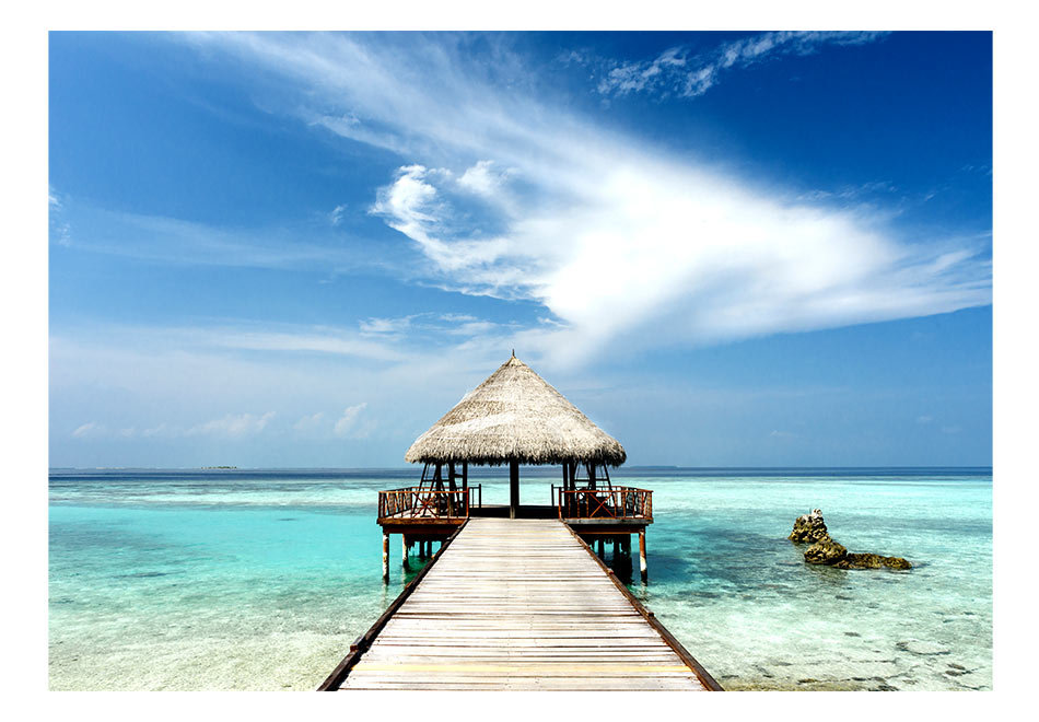 Roll East Urban Home 