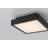 Patrol Q Ceiling Mount, 15W, Black Finish