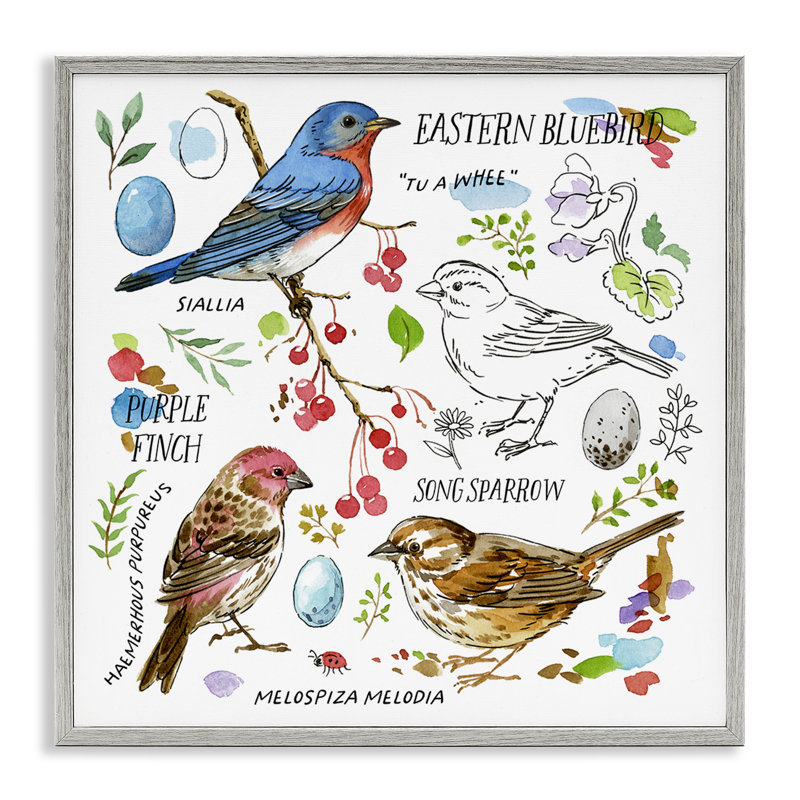 «Woodland Birds Schéma», estampe numérique par Jane Maday, H 12 po x l 12 po, Estampe numérique Farmhouse