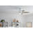 52'' Ceiling Fan with LED Lights-894715738