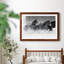 Winter Roundup I - Photographie avec cadre-1226318057-1226318061