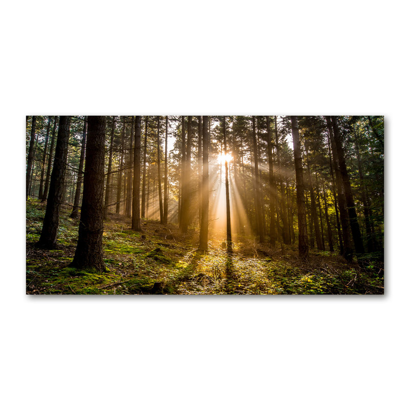 Sunlight - Wrapped Canvas Print, Canvas, 70cm H x 140cm W