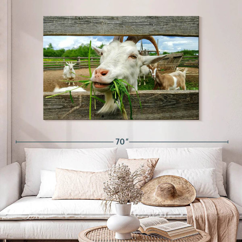 Brampt Euphoric Goat, 34" H x 51" W