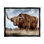 " Highland Cattle In Field "