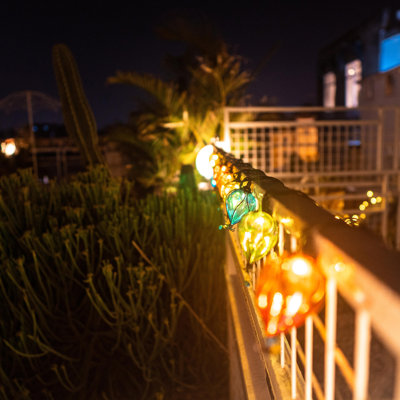 Gaganpreet Outdoor 10 - Bulb 7.4'' Plug-in Novelty String Light