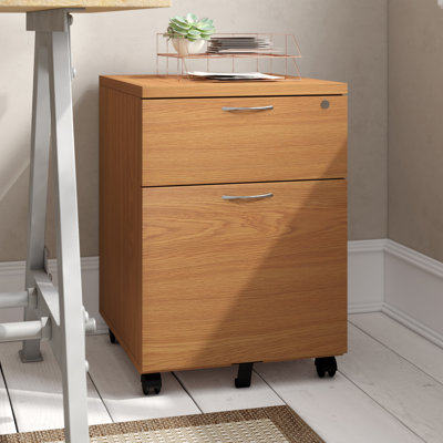 Buariki 40.4 cm W 2 -Drawer Filing Cabinet