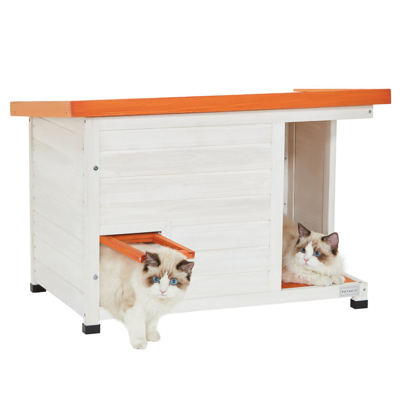 Everal Cat House