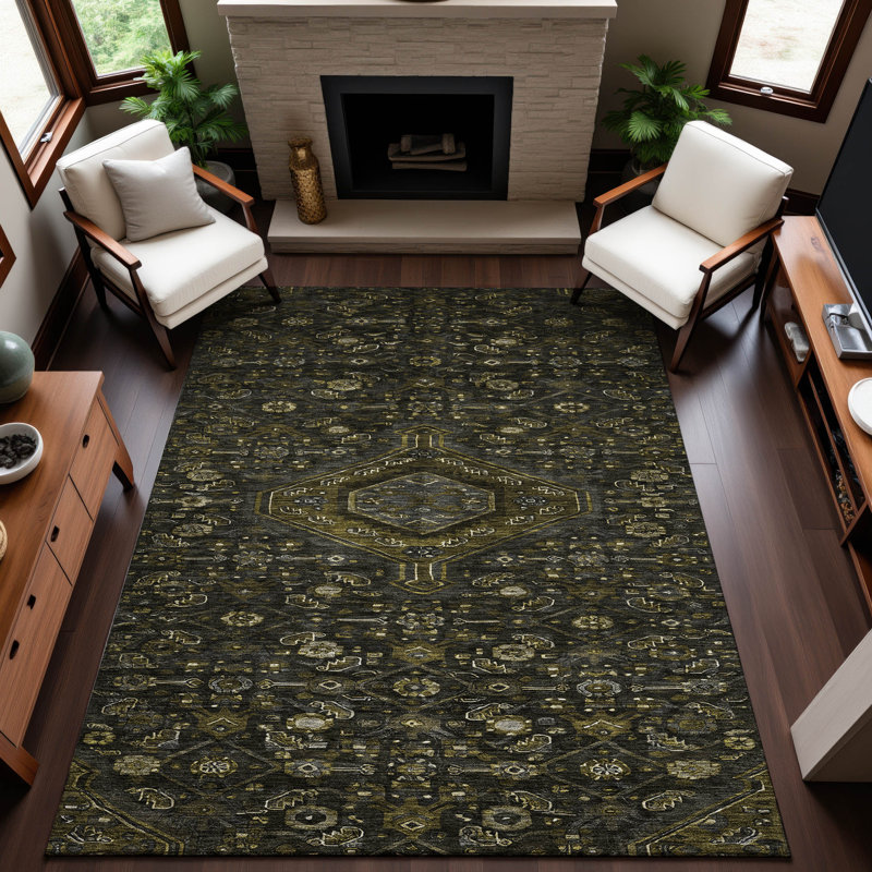 Premium Machine Washable Barry AMF1225 Medallion Rug, Rectangle 3' x 5'