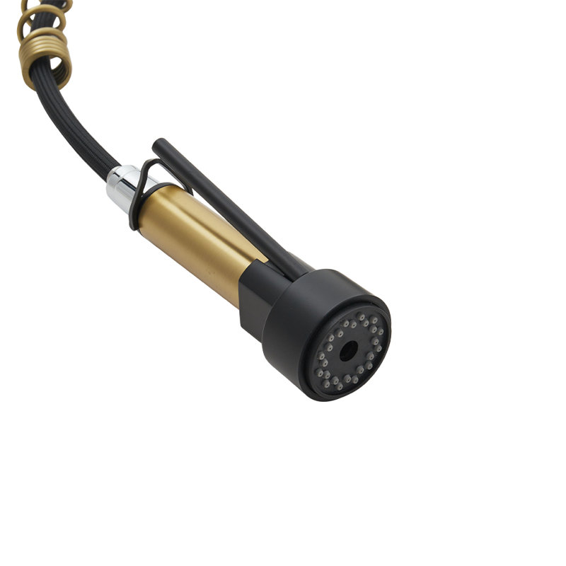 Belfry Kitchen Lippencott Pull Down Kitchen Faucet, Gold/Black