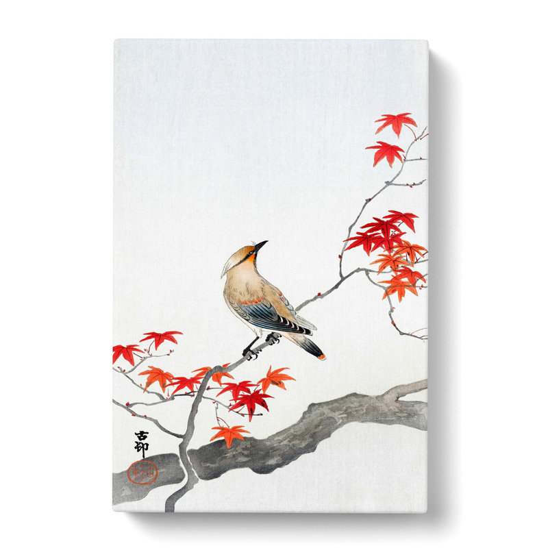 Bird upon a Maple Tree by Ohara Koson - Wrapped Canvas Painting Print, 76cm H x 50cm W x 3cm D
