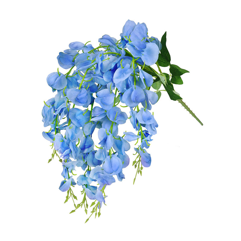 Buisson de glycine suspendu, Bleu