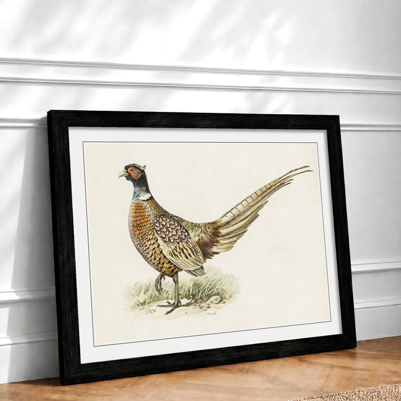 Ring-Necked Pheasant by Von Wright - Single Picture Frame Painting, 24cm H x 33cm W x 2cm D, Black