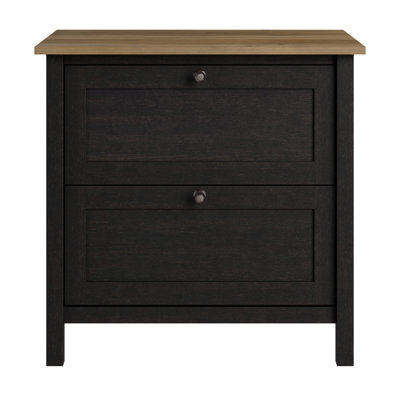 Shelonda 31'' Wide 2 - Drawer File Cabinet