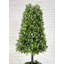 Buis artificiel 38 po en pot-329832531