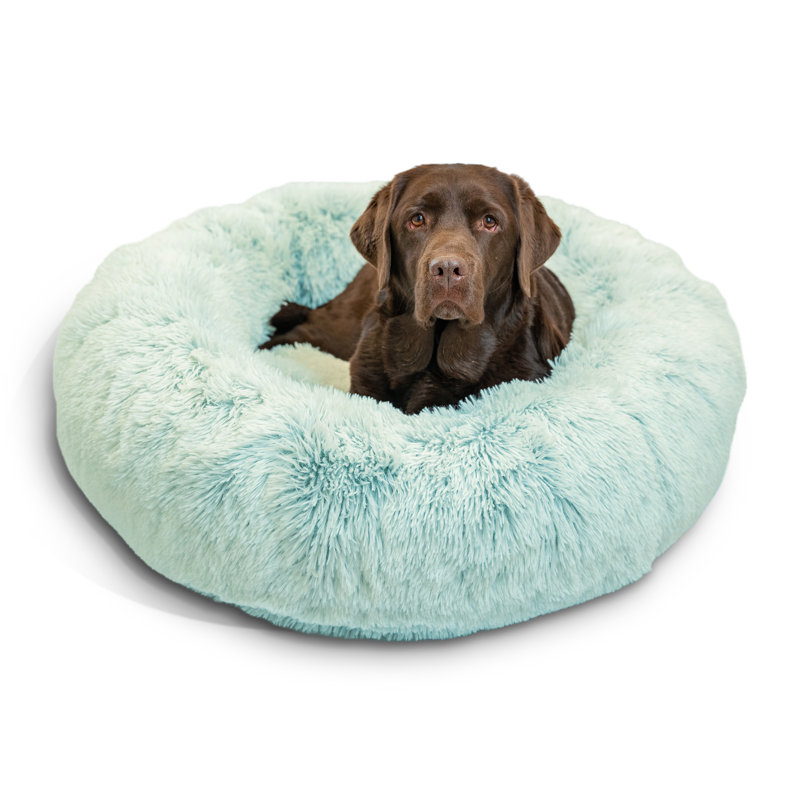 Lit pour animaux en fausse fourrure Tucker Murphy Pet ™, Grand (l 36 po x P 36 po x H 9 po), Bleu pastel pelucheux
