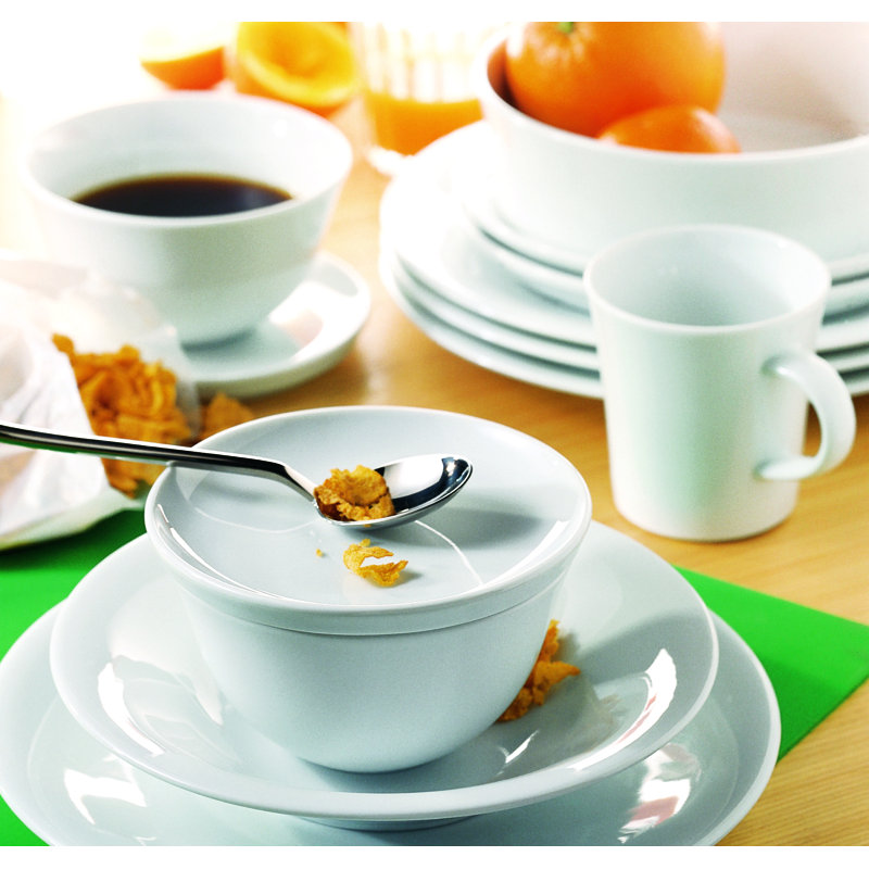Update 14-Piece Porcelain Dinnerware Set