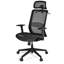 Mesh Office Chair