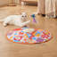 Rechargeable Interactive Cat Toy for Indoor Play