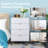 Marable 4 Drawer 23.6" W Chest-274401798