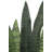 40" Artificial Snake Plant in Black Pot