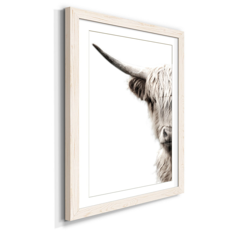 Bétail des Highlands - reproduction de photo, Papier encadré blanc, H 31,5 po x l 23,5 po x P 1,5 po, Blanc