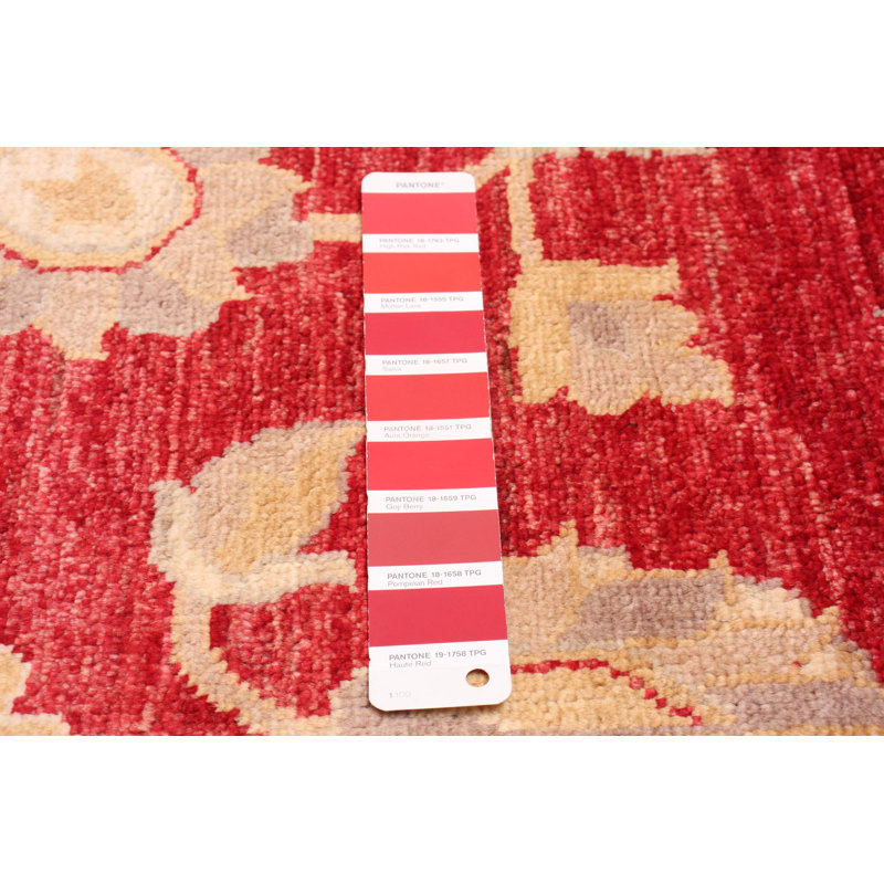 Tapis unique en laine noué à la main 4 pi x 6 pi 1 po nouvel âge Dhyana - rouge / beige