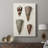 Cone Shell Collection I -Gallery Wrapped Cavas-2083979349