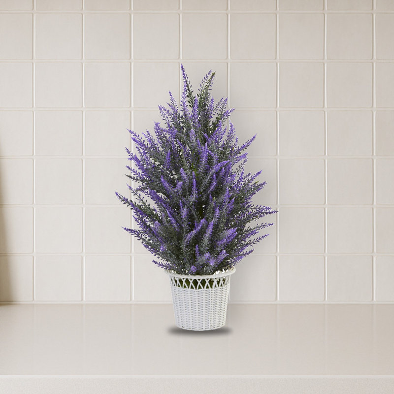 Lavande dans un pot à fleurs blanc