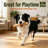 Polyester Pets Tunnel Toy Coffee Wood  Dog Chew Toy Natural Chewing Stick For Dogs-135399667