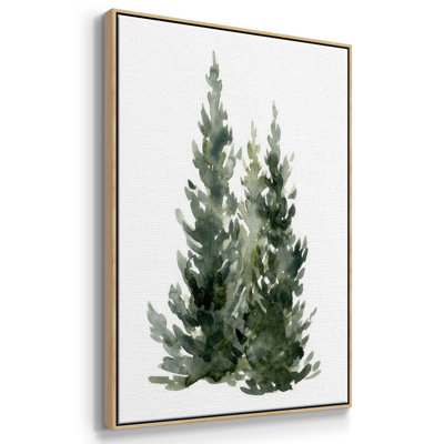 Simple Evergreen I