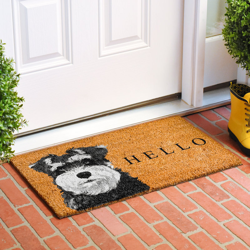 Non-Slip Door Mat, 17" W x  29" L