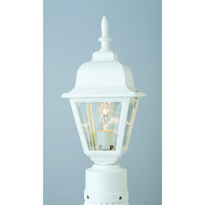 Lantern Head