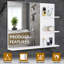 Aoifee Wall Mirror with Shelves