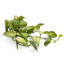 25cm Faux Plant-127681129