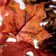 Faux Maple Polyester 24.5'' Wreath