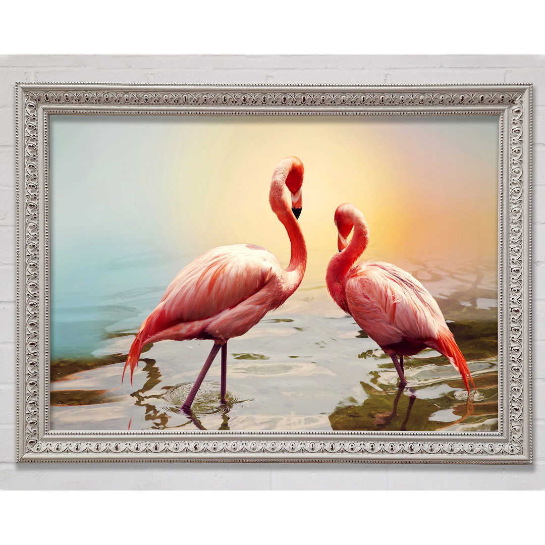 Flamingo Sunset - Einzelner Bilderrahmen Kunstdrucke