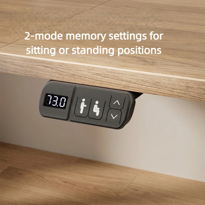 Electric Height-Adjustable Standing Desk with Built-In Power Outlets & USB Ports, Sit-Stand Home Office Desk with Memory Control Panel & Cable management