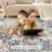 Adona Soft Washable Oriental Vintage Floral Distressed Large Carpet - Fade Stain Resistant Non Slip Rugs for Bedroom Dining Room Nursery Dorm Office Home Decor-490045978-498186715