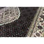 India Oriental Area Rug