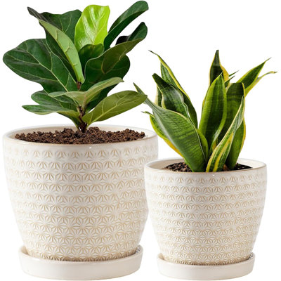 Set Of 2 Ceramic Plant Pots