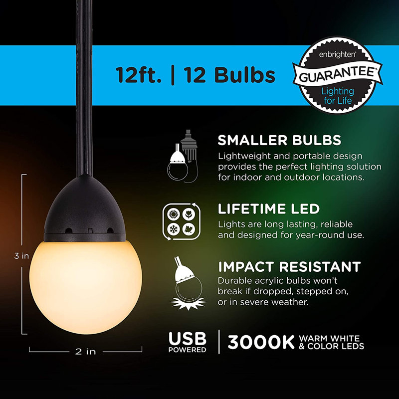 USB Outdoor 12 - Bulb 12'' Plug-in LED String Light