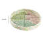 Plateau décoratif Milo, surface mosaïque, coquille de Capiz multicolore 14 pouces-124246096