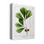 Chêne blanc - impression sur toile tendue-31389809