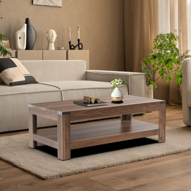 Damika Rectangular Coffee Table with 2-Tier Storage and Rustic Oak, Dark Walnut