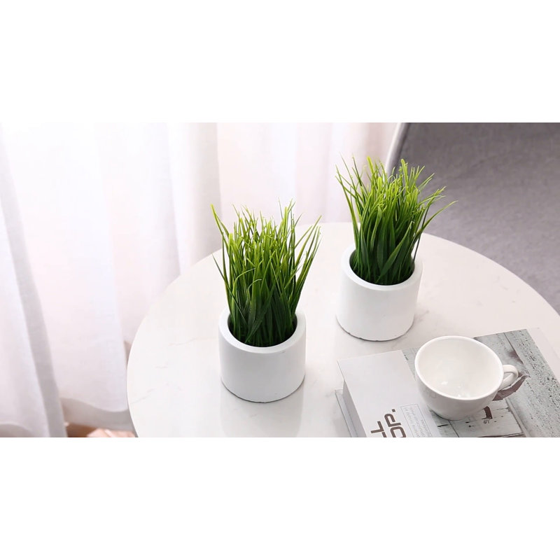 Set of 2 Faux Green Grass in White Cement Round Pots