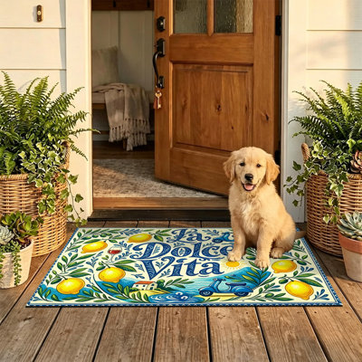  Tapis d'entrée antidérapant pour l'extérieur, 24 po x 36 po, entrée La Dolce Vita