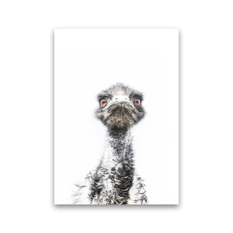 E.M.U by Victoria Frost - Print, Unframed, 59cm H x 42cm W x 1cm D