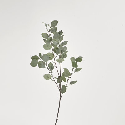 Faux Silver Dollar Eucalyptus Branch
