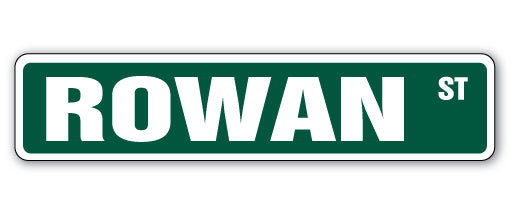 Plaque de rue Rowan en plastique robuste 4 po x 18 po