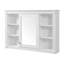 Armoire de rangement murale avec miroir